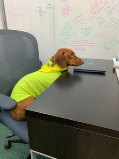 Alternatives Counselling & Listening Rooms tweet media