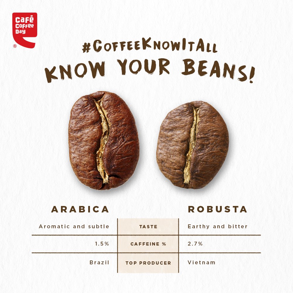 CafeCoffeeDay's tweet photo. Next time you are asked to choose your coffee bean, know which one is more your kind! Stay tuned for more such coffee facts that refresh your coffee knowledge.
#CoffeeKnowItAll #CoffeeLover #CoffeeAddict #TypesOfCoffee #CafeCoffeeDay https://t.co/MAmnjcfwSn