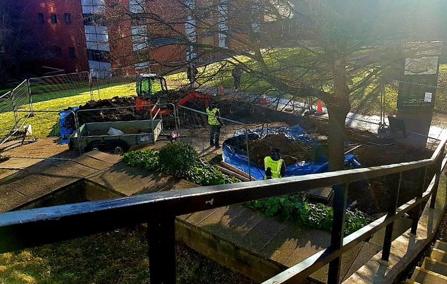 UoLLibrary's tweet photo. We're excited about what's going in the hole outside Eddie B. Not long to wait now before we meet our new arrival!
#librarymysteries #diggingfortreasure https://t.co/0zxavhoOLR