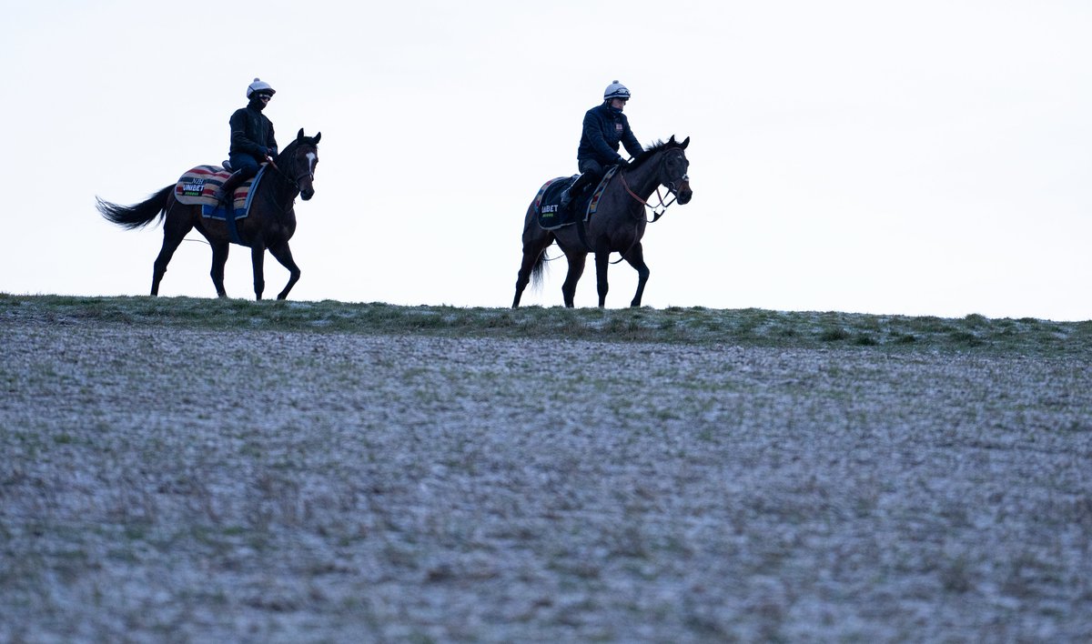 Racing Post tweet media