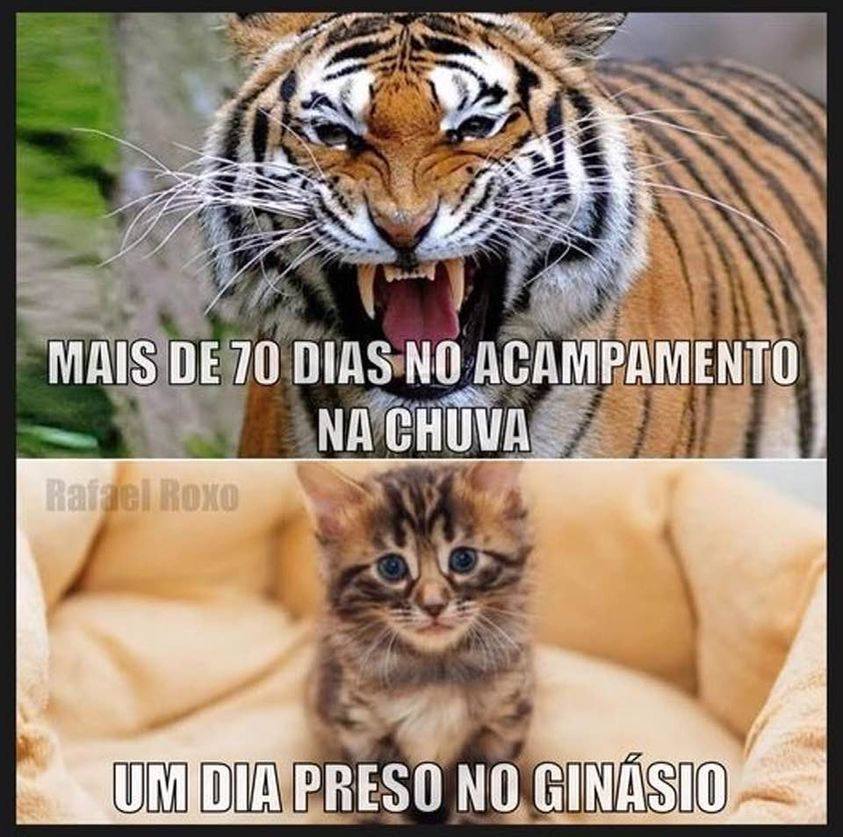 marcoberanger's tweet photo. copiei e colei https://t.co/Hpho7aYAbo