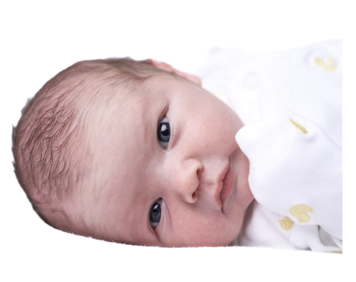 Albert Arrives! - biltonsilver.co.uk/2023/01/19/alb…