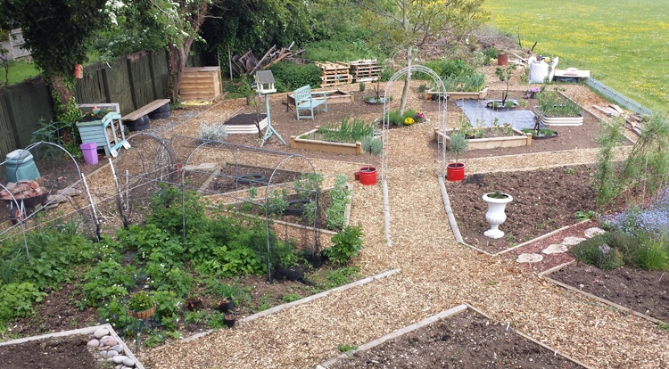 Have you visited one of our community gardens?

We also have plenty of fun outdoor activities that take place, which you can also be part of.

Find out more on our website (and click on Events to see what we have taking place soon): sbee.link/rjtcunv7ax