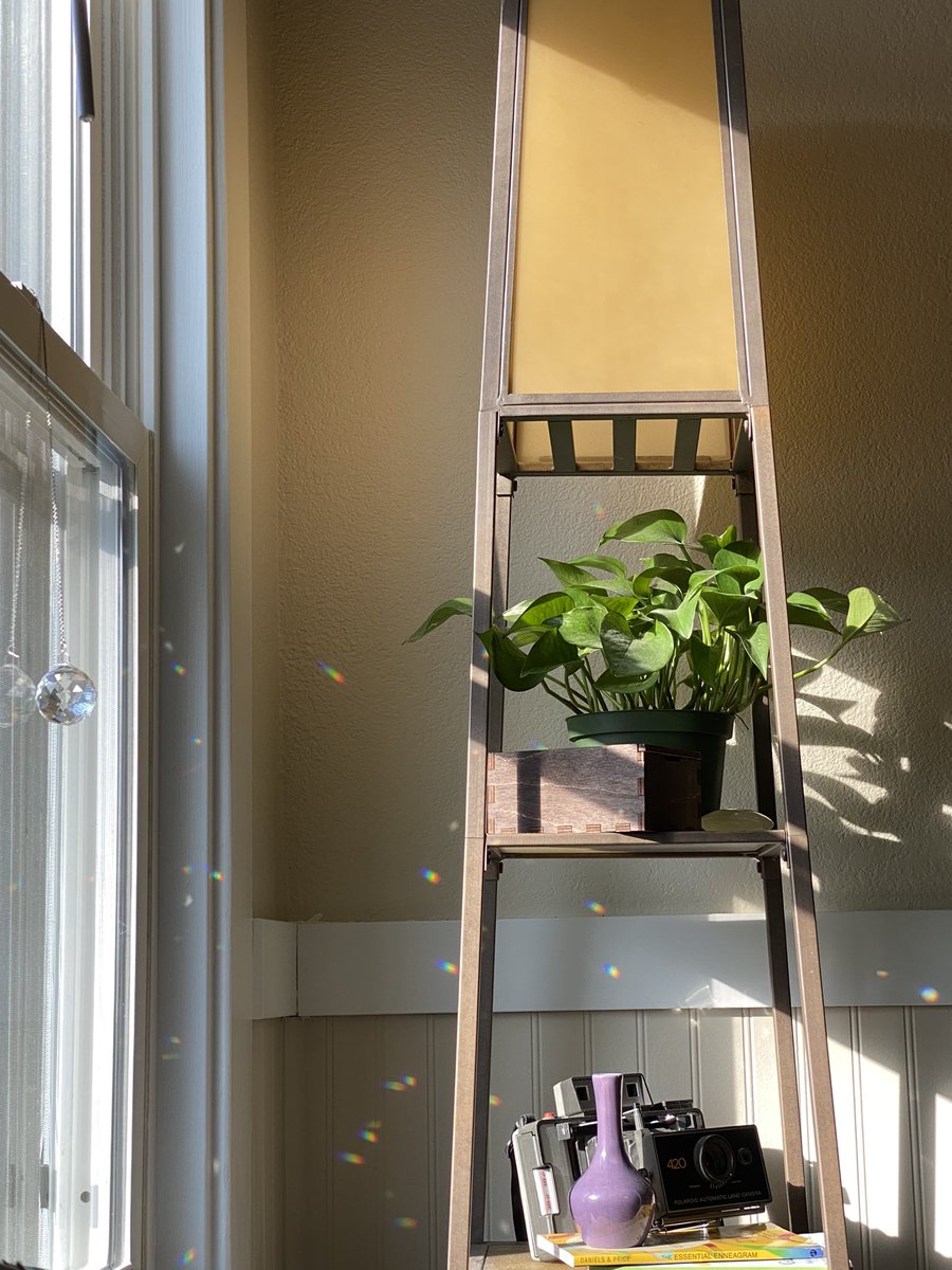 jerricahidy2's tweet photo. pretty little moments in my pretty little house this month https://t.co/nfiUyWUUgG