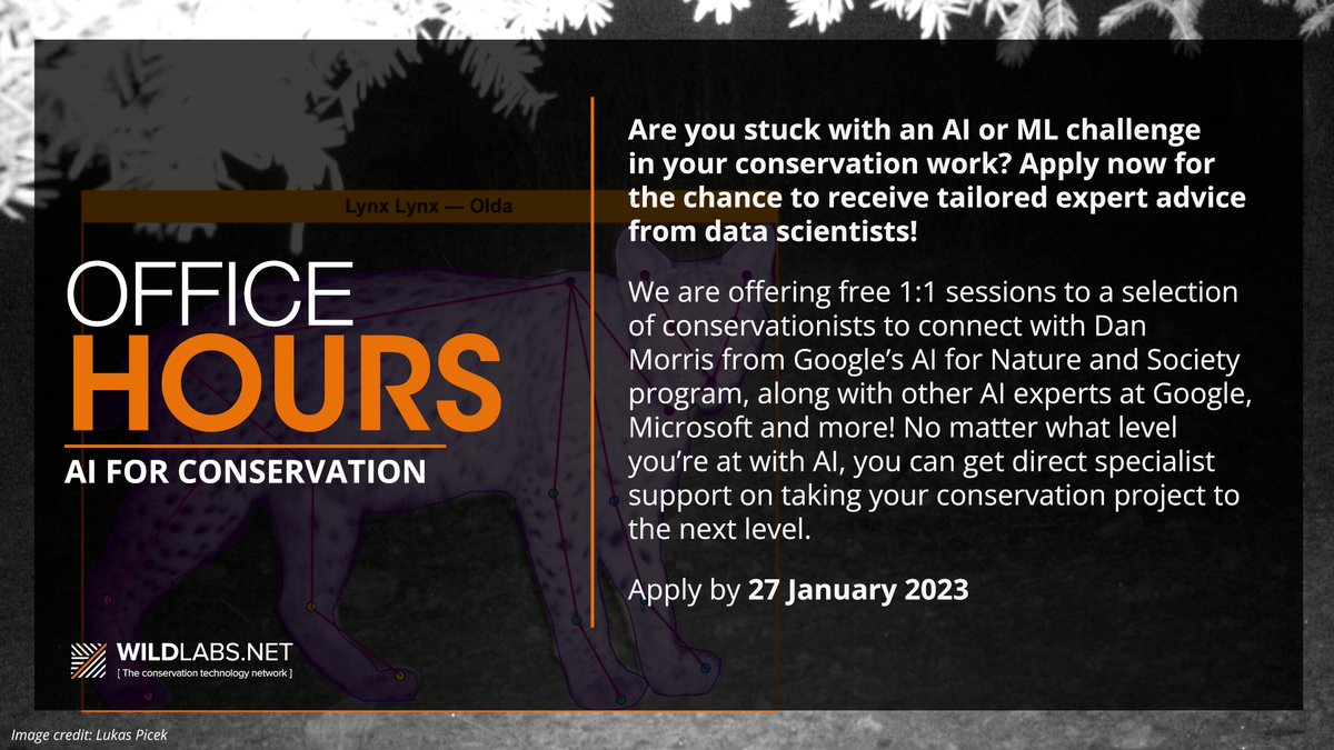 WILDLABSNET's tweet photo. Stuck with an AI or ML challenge in your conservation work? Apply now to #AI4Conservation Office Hours for a 1:1 session with AI data specialists from Google, Microsoft and more. Youโll get expert advice that will help you take the next step in your work! https://t.co/ZrWTqTIzSI https://t.co/DNjqJRLSnq