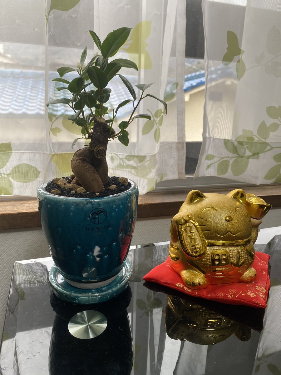 kaneoki's tweet photo. 弊社の事務所。仕上がってきました♪ https://t.co/trnm68FL7r