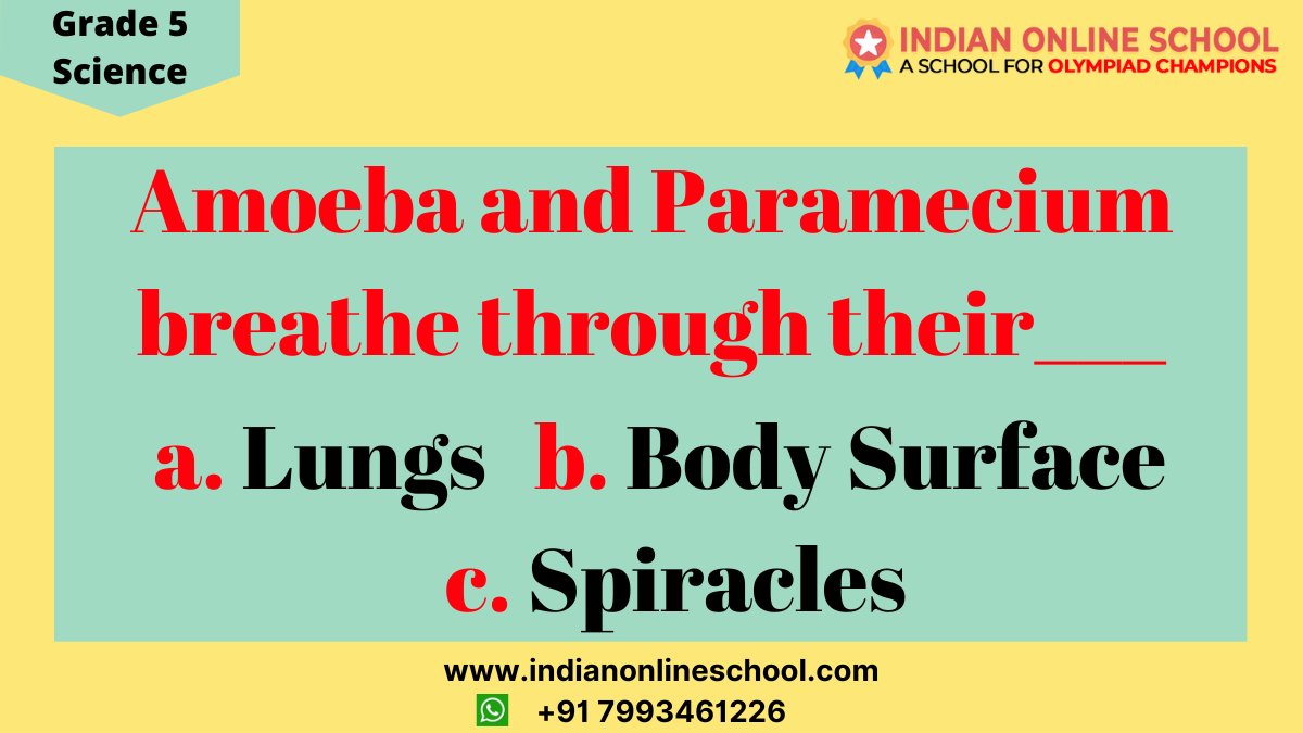 Indianonlinesc1's tweet image. Grade 5 Science Olympiad Question.

Comment Your Answer

Evaluate your Olympiad Preparation

Register here:- indianonlineschool.com/free-test/

#olympiad #olympiadexams #olympiadcoaching #olympiadcompetition #scienceolympiad #competitiveexams #exampreparation #olympiadcoachingclasses