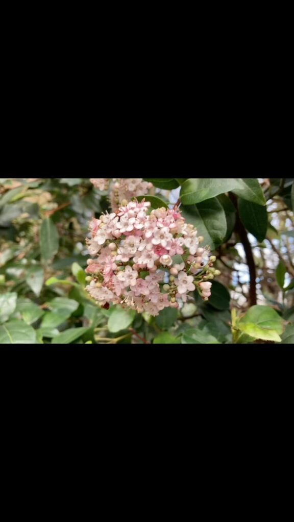 Garden Thyme Ltd tweet media