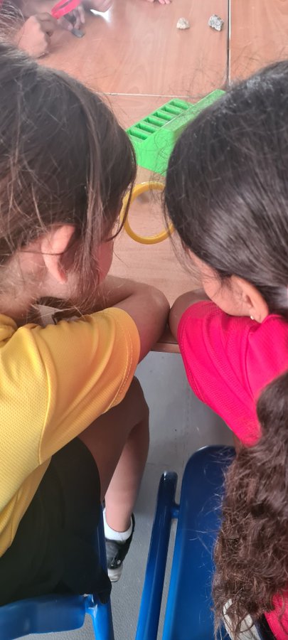 BSM Year 3 tweet media