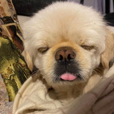 SerolBoztepe's tweet photo. #YeniProfilResmi https://t.co/zjdnWxd5Az
