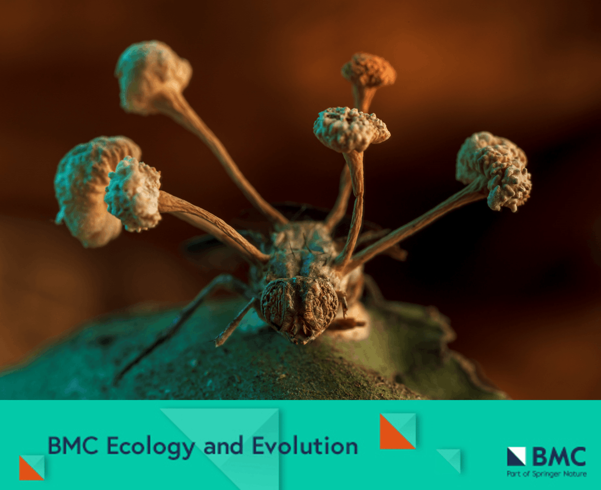 BMC_series's tweet photo. The 2023 #BMCEcolEvol image competition is now open! Submit your images and the stories behind them to highlight your research, win cash prizes (up to €800), and have your images featured in the journal. To learn more, visit <https://t.co/zfIOmL7TUL>. https://t.co/IRAjFFvLUB
