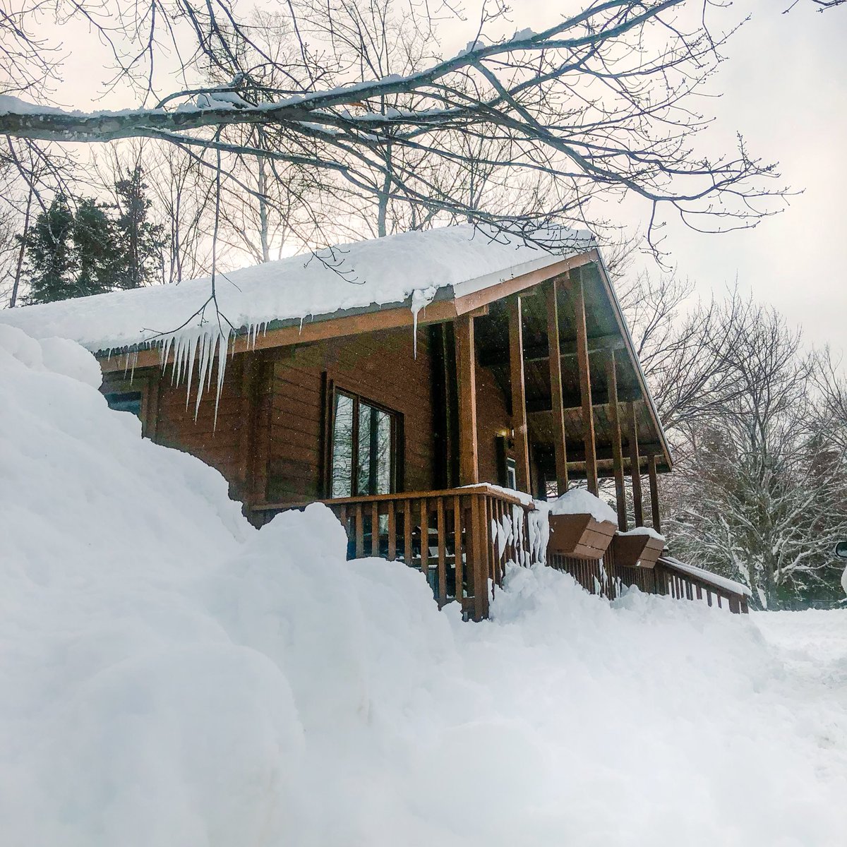 Winter only sucks if you let it! 
Cape Breton Island has lots of winter activities from snowmobiling in the highlands, snowshoeing up a mountain, hitting the slopes, or relaxing in an outdoor hot tub. ❄️ 

#visitcapebreton