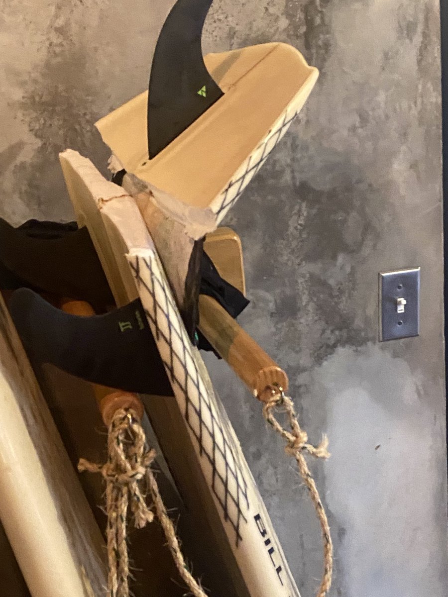 elrojo🌴 tweet media