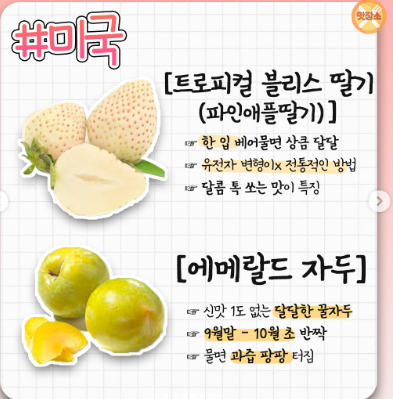 ccxxnks1's tweet photo. 해외여행갔을 때 필수로 먹어줘야하는 과일 총정리 타래 https://t.co/fhnGft8yPP