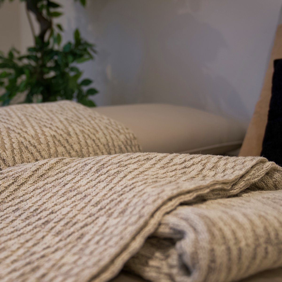 BritishWool's tweet photo. New #Home Collection by @marsknitwear
https://t.co/M6QT8RB1j1
Just in time for this #Cold weather!
15% discount to our followers, use code 'british-wool-throw-back' on Mars Knitwear's website
#BritishWool #Wool #Blankets #Throws #Cosy #Winter #Nights #WoolThrow #LuxuryThrow https://t.co/NpJ3hJd0Ju