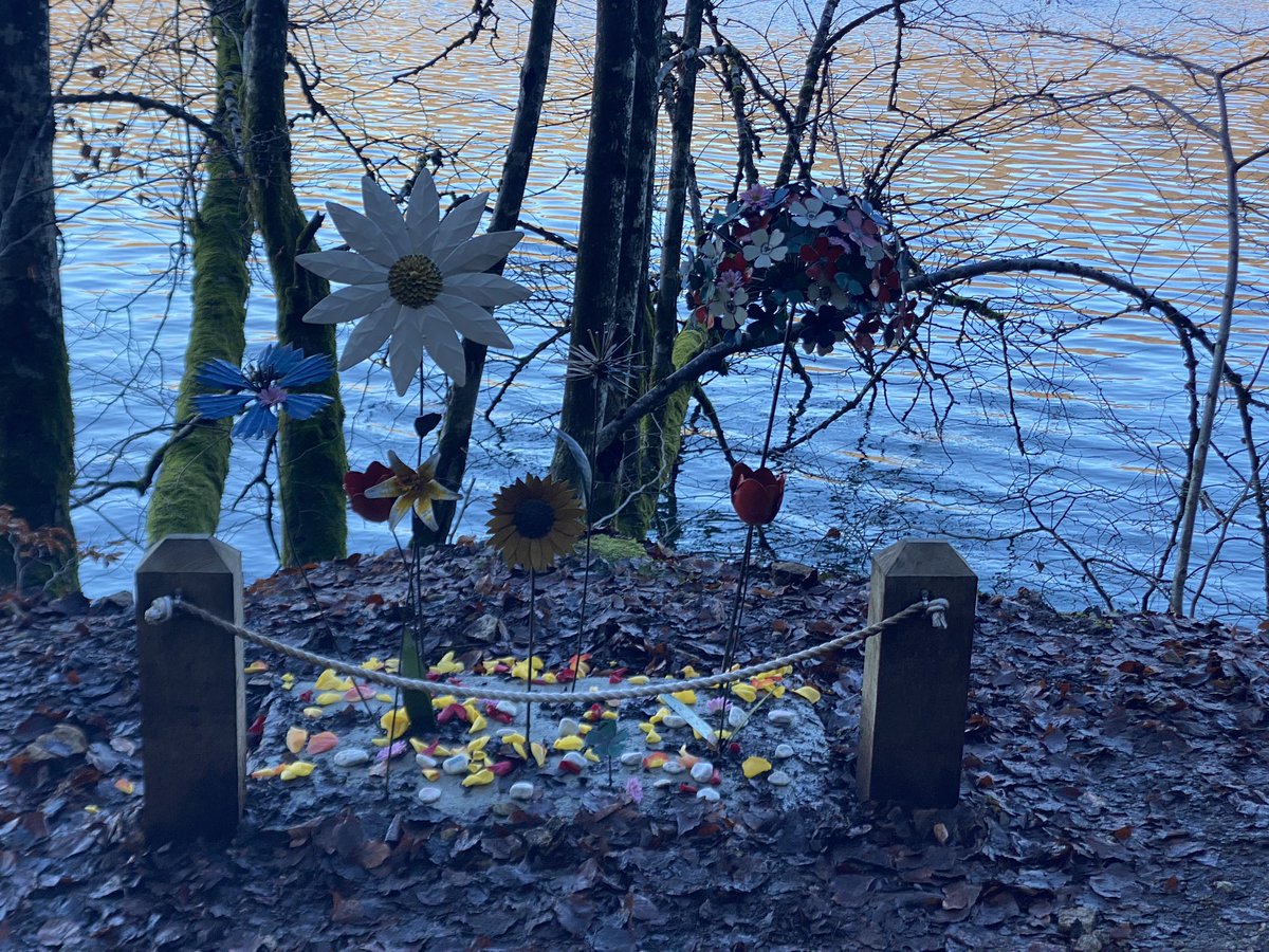 stephane_arru's tweet photo. Quatre étoiles regardent désormais l’étendue d’eau, redevenue paisible. Quatre visages qui seront pour toujours, ces toutes petites rides à la surface de l’eau soufflées par le vent du souvenir à travers les arbres. https://t.co/kDiDXzJ00w