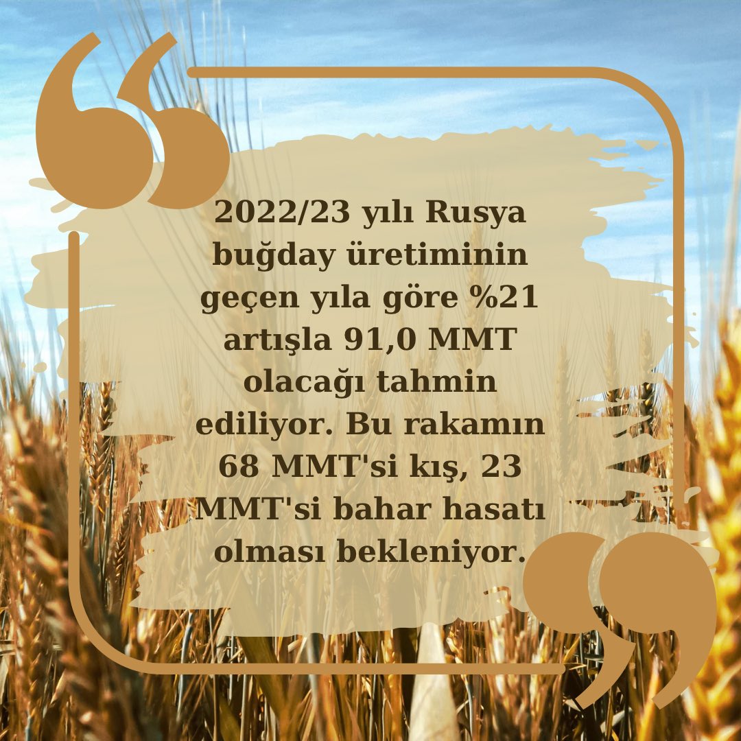 Promaksgrain's tweet photo. 🔎2022/23 yılı Rusya buğday üretiminde geçen yıla göre %21 artış bekleniyor!

#promaksgrain #buğday #tahıl #grain #wheat #agriculture #tarım #protein #yemhammaddeleri #feedstuff #ziraat #export #import #un #flour #corn #mısır #barley #arpa #gıda #blacksea  #meal #yem #feed #hasat https://t.co/4bTppLa0q8