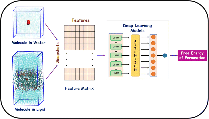 digital_rsc's tweet photo. Gupta et. al present a hybrid method to predict drug permeation energies, using MD simulations and deep learning models. Discovery the efficiencies and high accuracy offered by machine learning in today's featured #openaccess advance article: https://t.co/1m7ryAp5py https://t.co/jJ5LlQ27nj