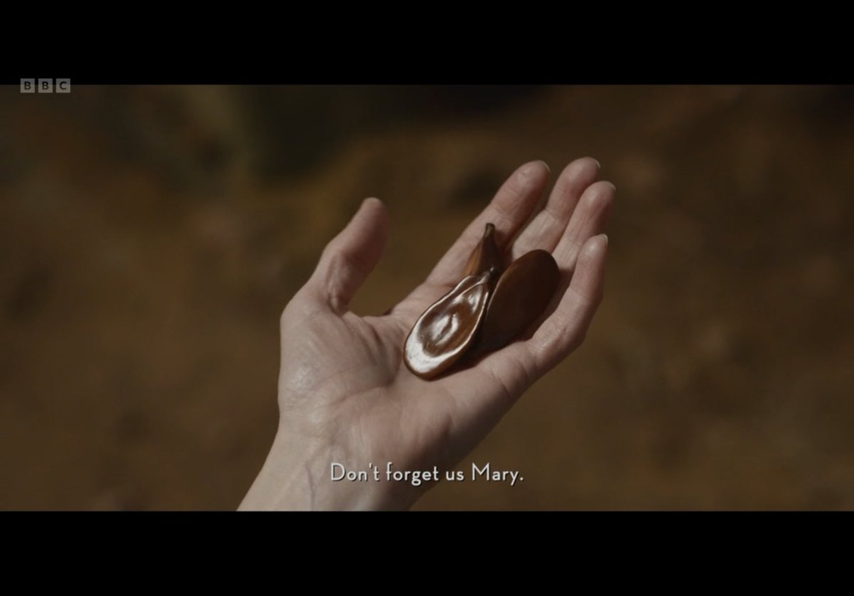 MercurialMelRJ's tweet photo. “Don’t forget us, Mary” … “Keep telling stories”😢🥺🥹
#MaryMalone #Atal #Mulefa #Sraf #HisDarkMaterials https://t.co/aPSHBpplO8