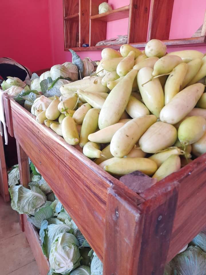 ETurruellas's tweet photo. El Organopónico #ElVial del Municipio #PinarDelRio continúa produciendo y ofertando hortalizas, demostrando que #SiSePuede. #VamosPorMas #SomosContinuidad @MINAGCuba @YdaelB @MMarreroCruz @JorgeLuisTapiaF https://t.co/DqFo1sNr8H