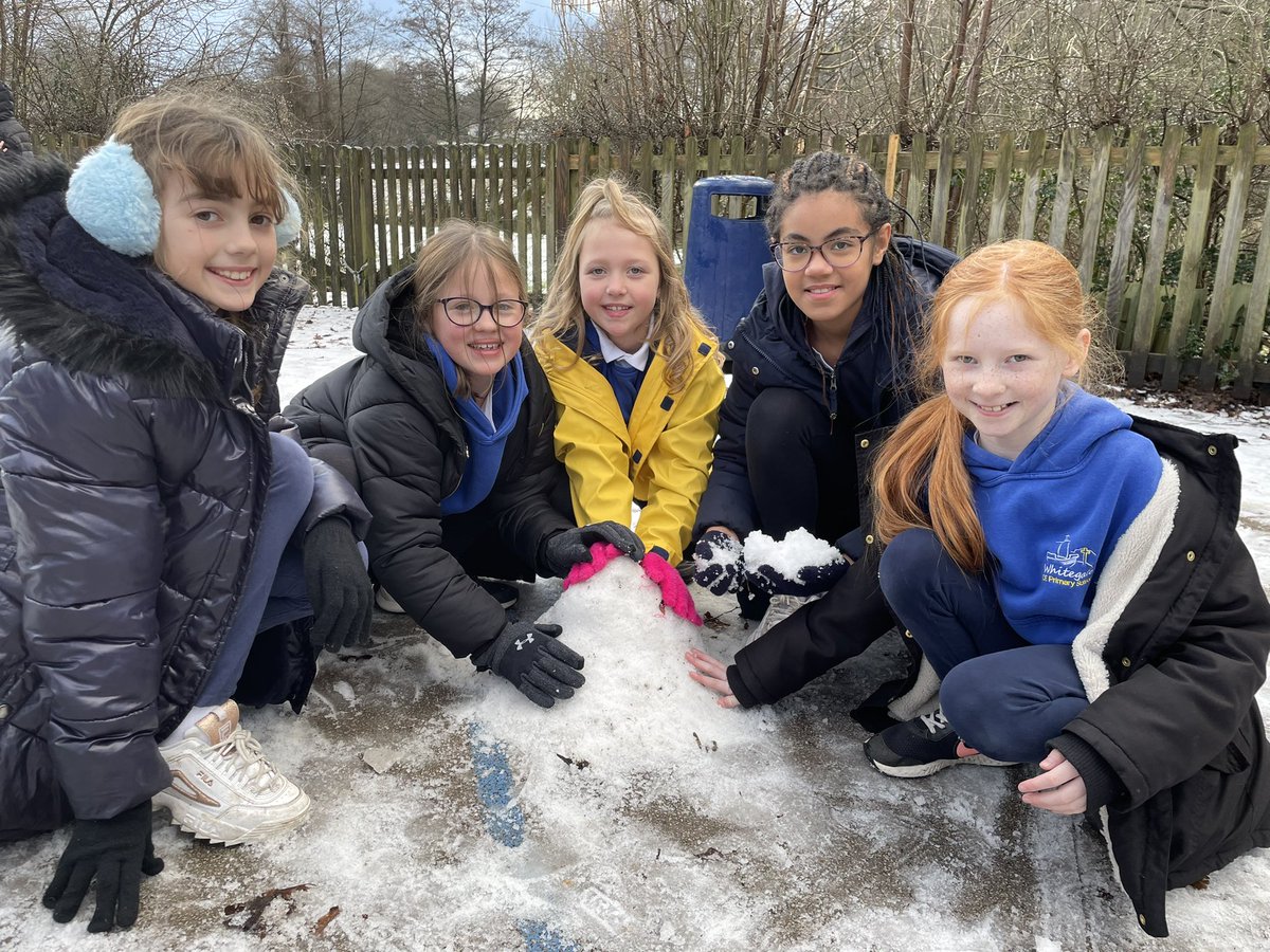 Mrs Mackenzie tweet media