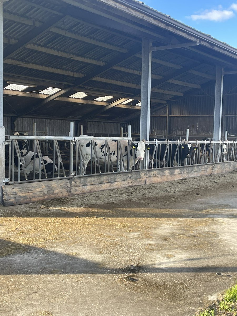 Met collega’s bij Booij Kaasmakers. Bedankt <a href="/marijkebooij/">Marijke Booij</a> voor je bevlogen uitleg tijdens de rondleiding; weer wat meer geleerd over jullie bedrijf en het ambacht van het kaasmaken. Mooi dat jullie ondanks (economische) onzekerheden trouw blijven aan jullie visie en waarden.