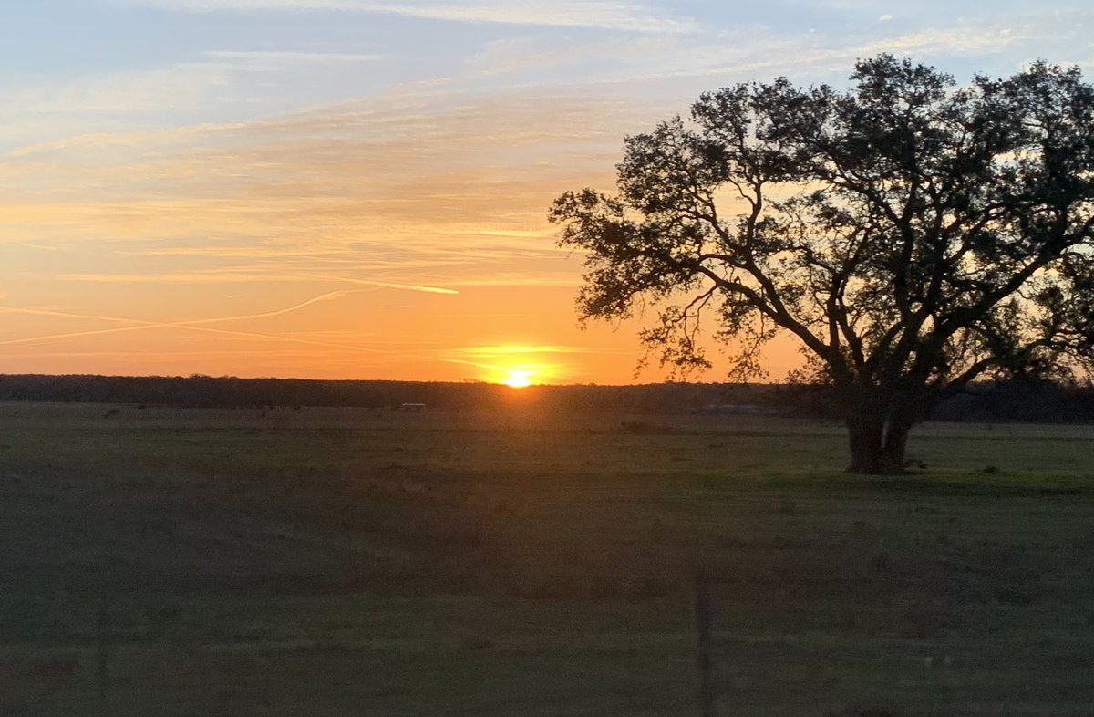 MayaJRodriguez's tweet image. Sunrise near Old Dime Box, TX. #OnAssignment