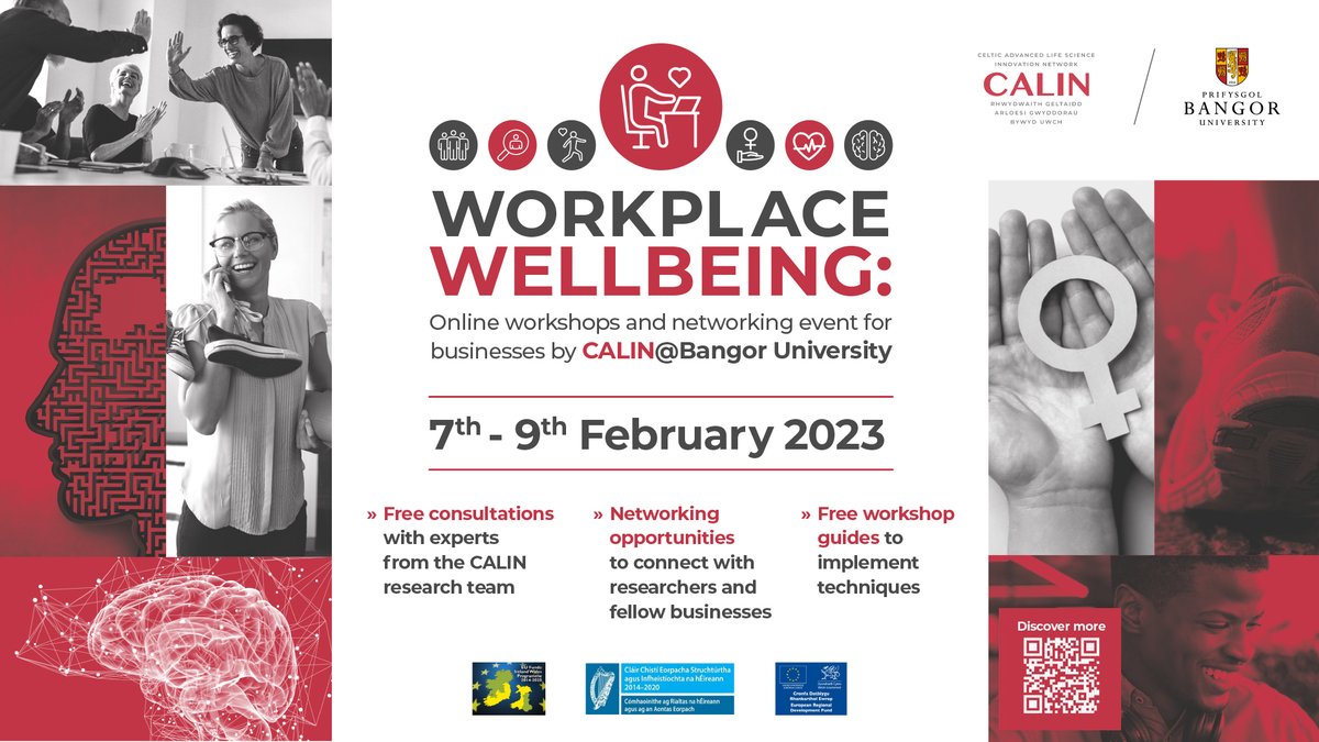 CALIN_BangorUni's tweet photo. Nearly time for @CALIN FREE online workshops &amp; networking event for businesses in Ireland &amp; Wales. 

Still time to register: https://t.co/GmvMkdcrwC https://t.co/jsdJoQqSfL