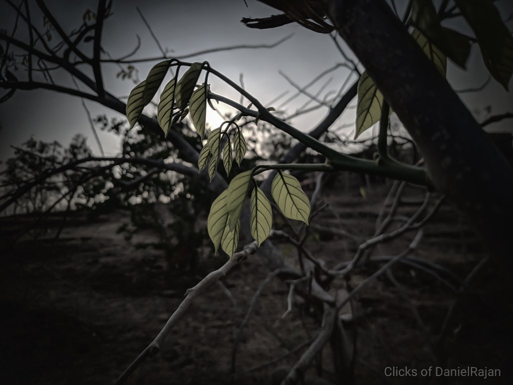 danielraja22's tweet photo. @VisualsbySauter https://t.co/a8B3uJKxS2