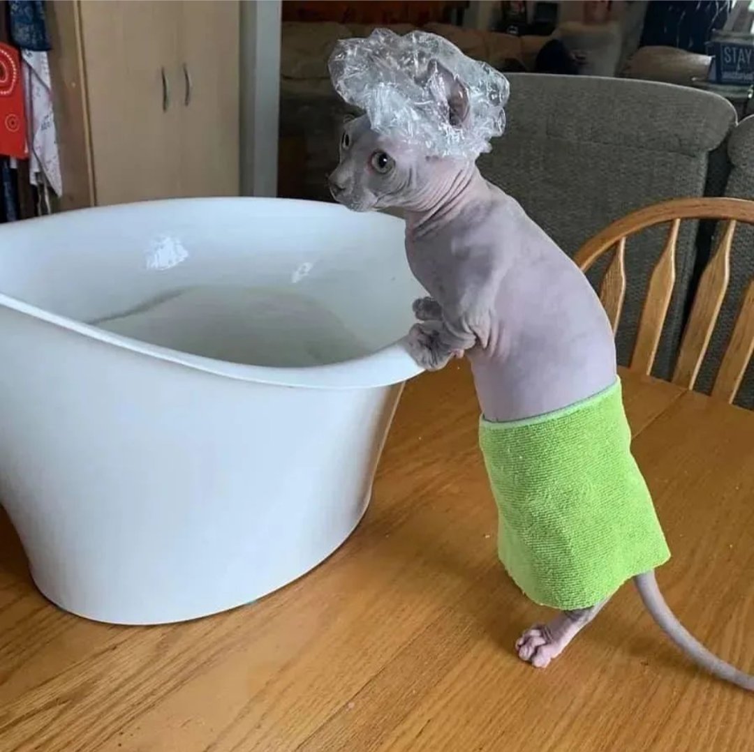 I am feeling very insecure today