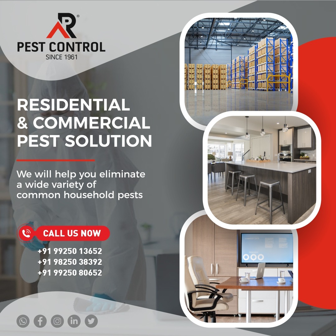 ARP_pestcontrol's tweet image. Pests can be anywhere and everywhere.. so why let them occupy our space! 
Let’s get rid of all types of common household pests with our quick and effective Residential and Commerce pest control.

#pestcontrol #pestcontroller #mice #rodent #rodentcontrol #nontoxic #nontoxichome