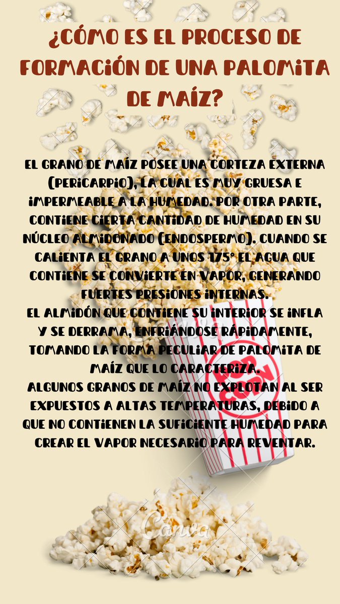 AREMATASOCIAC's tweet photo. Disfruta unas deliciosas palomitas de maíz con alguien especial y comparte información en las redes sociales acerca del Día de las Palomitas de Maíz, con los hashtags #DíadeLasPalomitas #PalomitasdeMaiz #PopcornDay #NationalPopcornDay https://t.co/R12XePpOs8