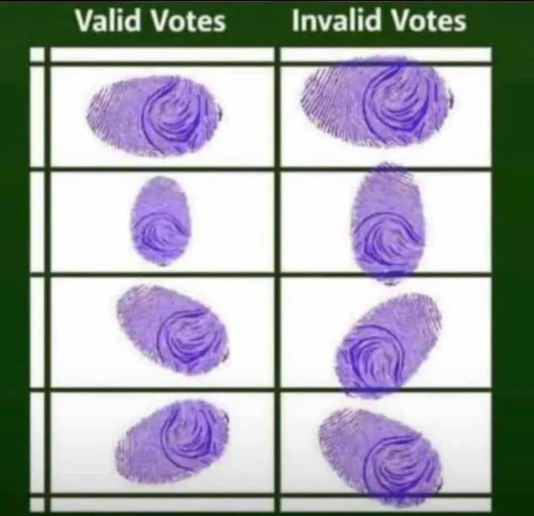 jstmo's tweet photo. Don't just vote wisely, vote appropriately. https://t.co/DyxAV5r3xV