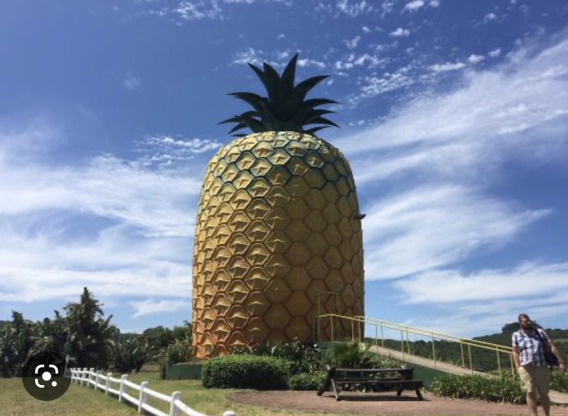 Troy Dog tweet media