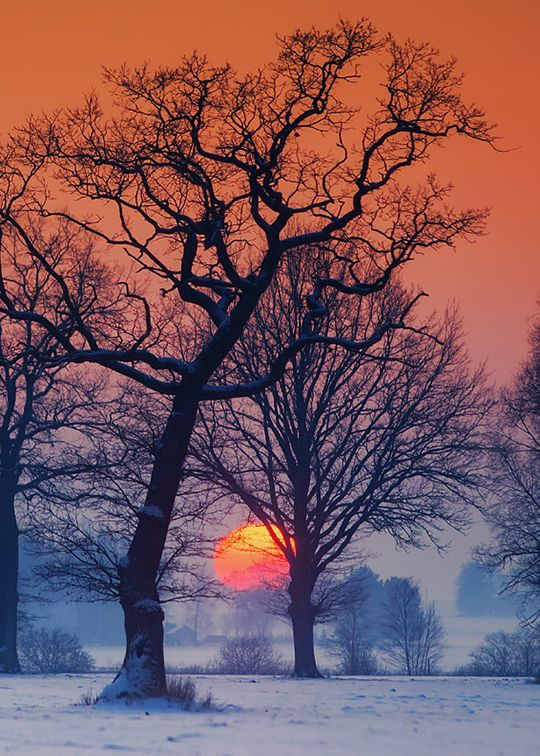 FranzSulzer's tweet photo. »Unsere größte Schwäche liegt im Aufgeben. Der sicherste Weg zum Erfolg ist immer, es noch einmal zu versuchen.«
Ich wünsche euch einen schönen Abend!🤗🥰💫 https://t.co/7M3BxwtPwn