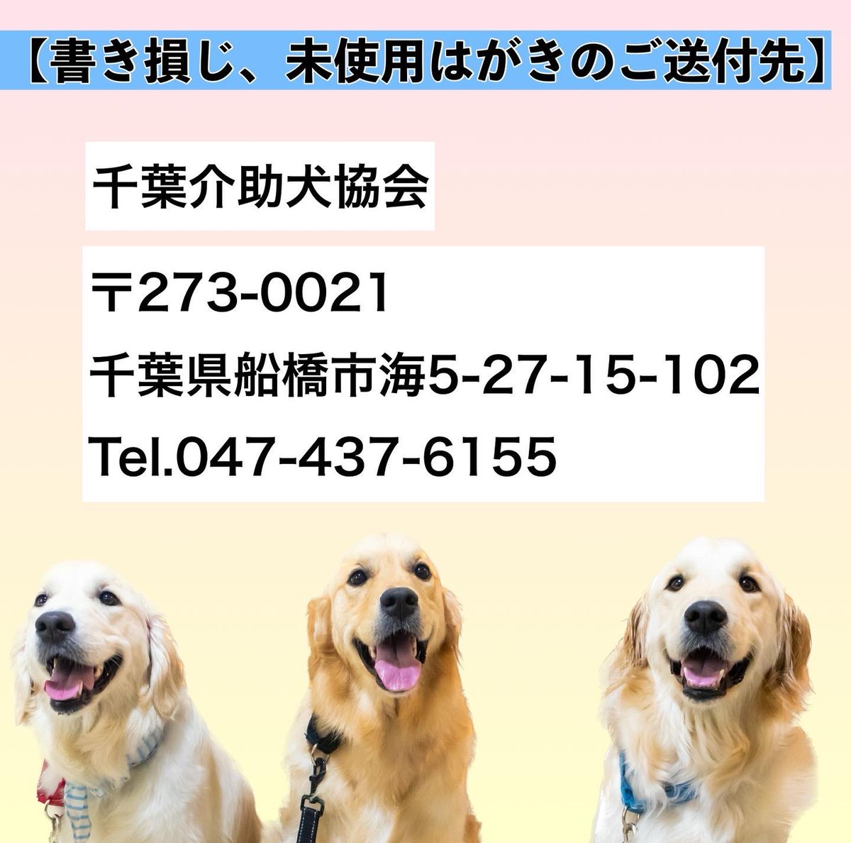 【皆様にお願いです！】
・書き損じはがき・未使用はがき
・未使用切手が
お手元にありましたら、
当協会へご寄付いただけないでしょうか？切手に交換して郵便物を送る際の、通信費として大切に活用させて頂きます。ご協力よろしくお願いします。
#書き損じはがき　#切手
