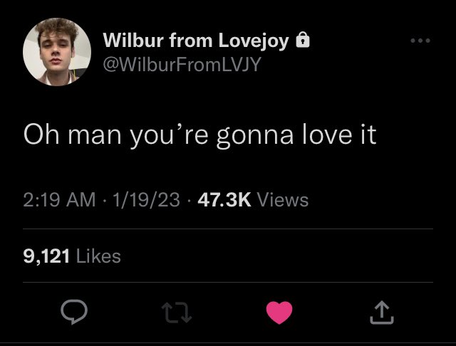 Wilbur tweeted on his private!