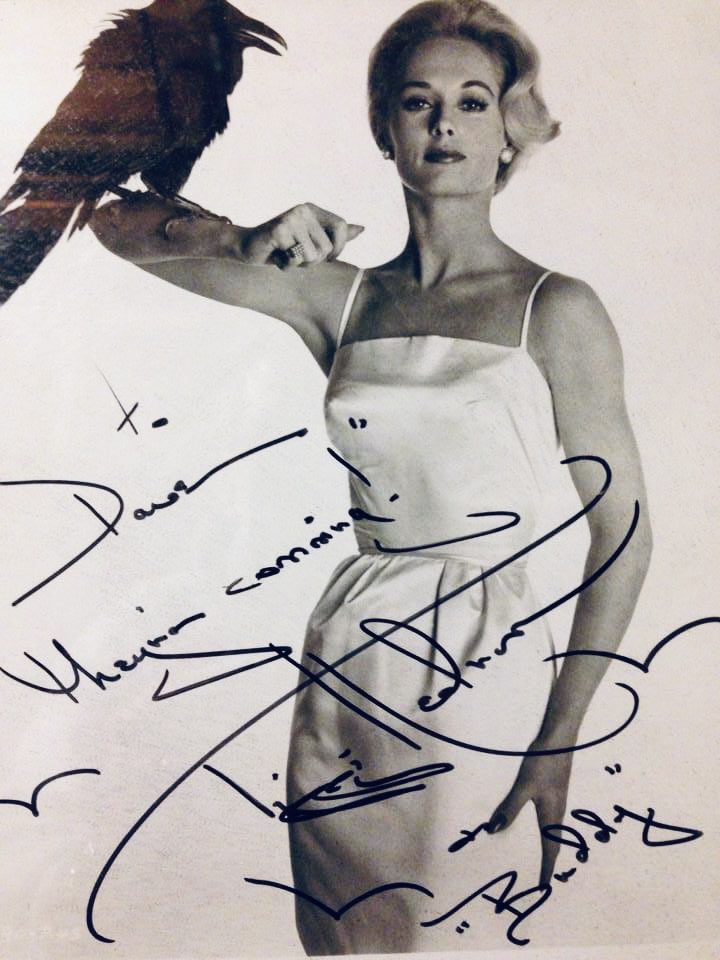 Happy 93rd birthday to Tippi Hedren, Hitchcock's glamorous star of "The Birds." <a href="/AlfredHitchcock/">Alfred Hitchcock LLC</a> <a href="/classic_film/">Classic Film TV Cafe</a> @TimeForAFilm <a href="/FilmTVLegends/">🎥 Film & TV Legends 📺</a> @Journeys_Film <a href="/CoffeeAndClass1/">Coffee And Classic Films</a> #TippiHedren