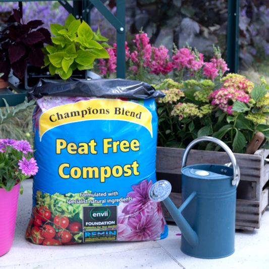 Bathgate Horticulture tweet media