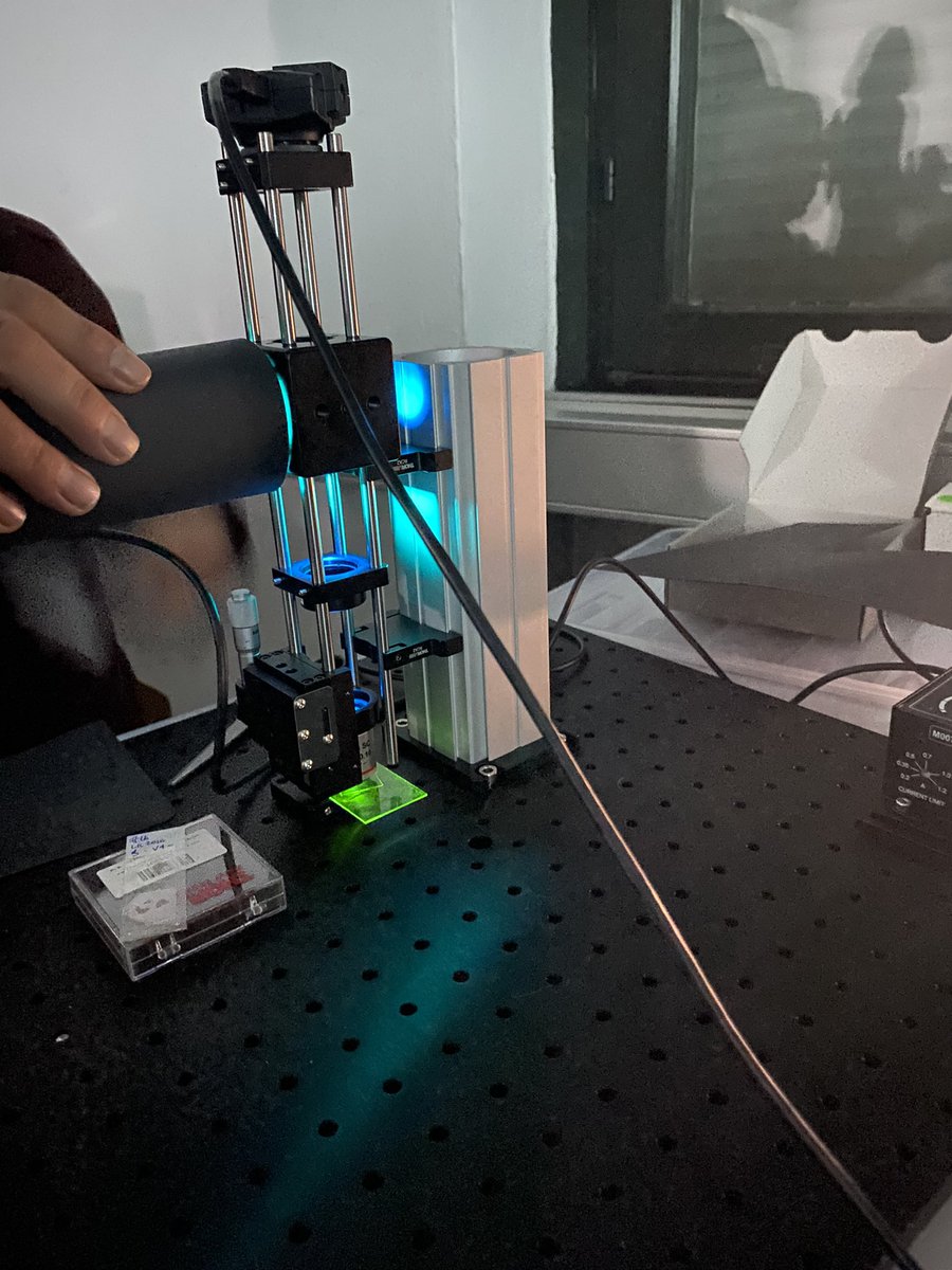eliteBMNprogram's tweet photo. Building a fluorescence microscope for our Microscopy of the Nervous System course! #neuroscience #microscopy 🔬 https://t.co/TDqTFF1EKb