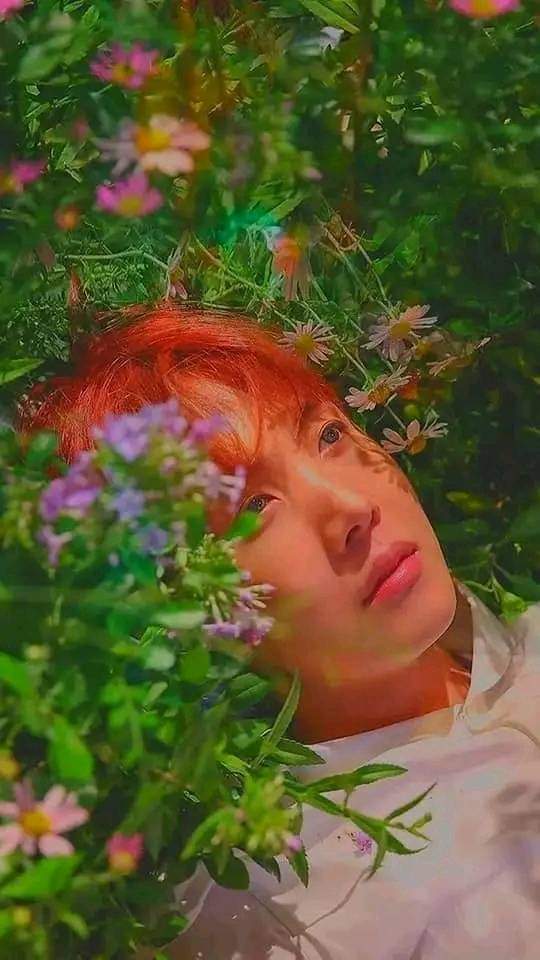 YeboAlice's tweet image. J hope🍓 jk🌸