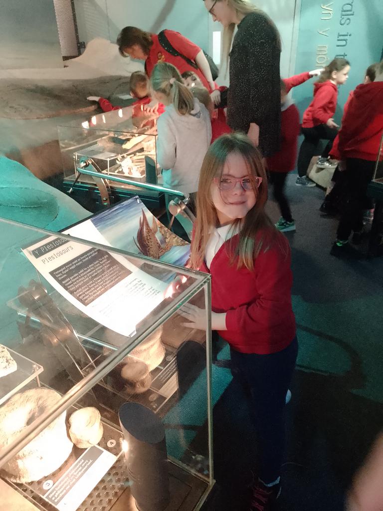 CraigfelenP's tweet photo. A fantastic trip to #cardiffmuseum Year 2 &amp; Year 1 saw fossils and dinosaurs! #cfp2 #cfp1 #planetdinosaur https://t.co/0G5xJQJhKh