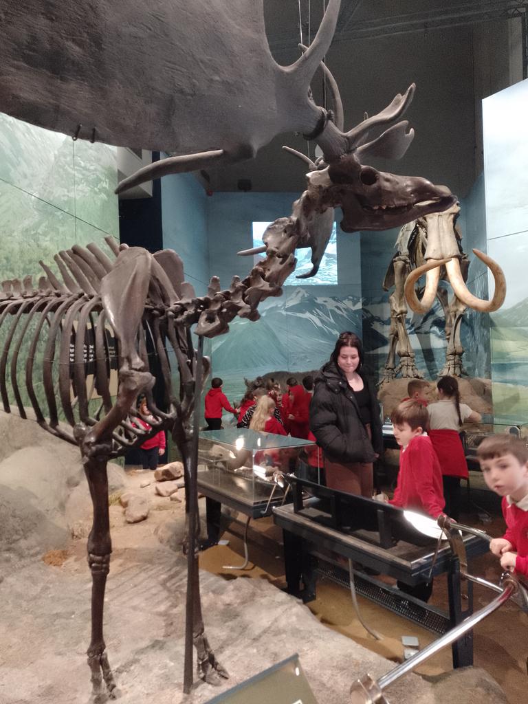 CraigfelenP's tweet photo. A fantastic trip to #cardiffmuseum Year 2 &amp; Year 1 saw fossils and dinosaurs! #cfp2 #cfp1 #planetdinosaur https://t.co/0G5xJQJhKh