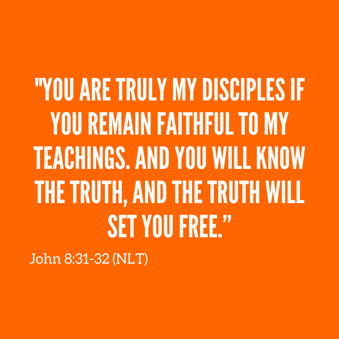 Vineyard N. Phoenix tweet media