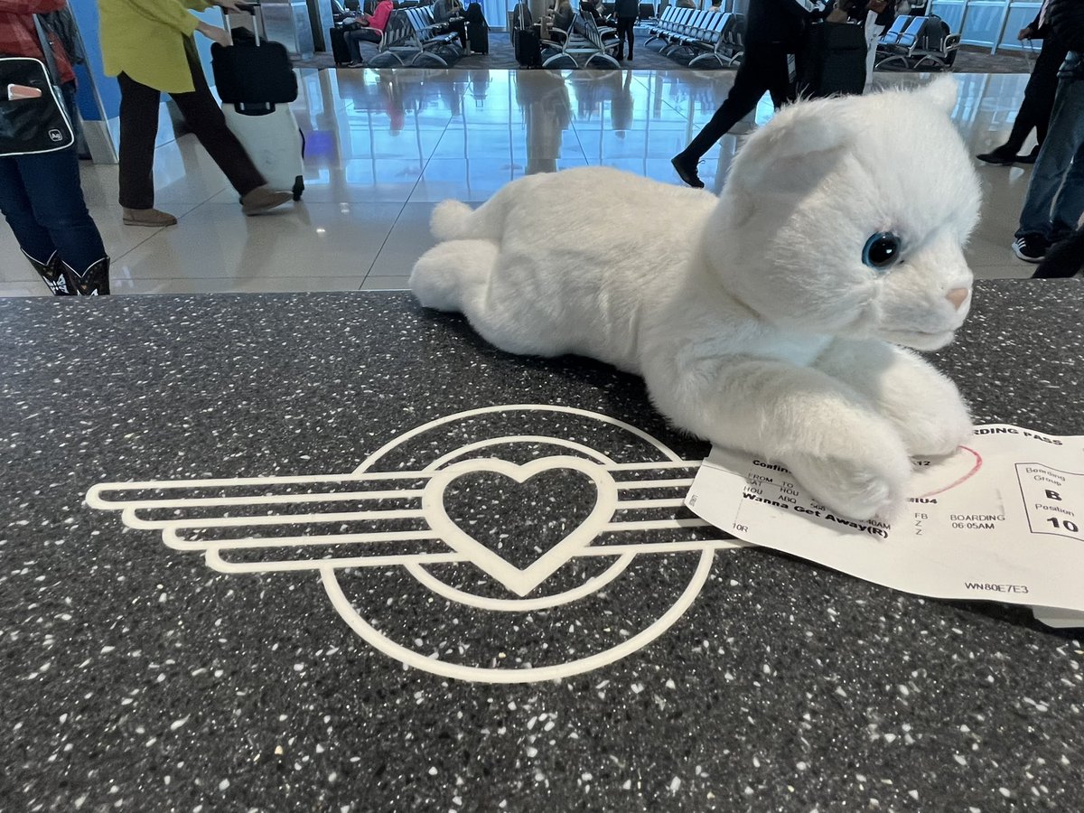 Crocketteers's tweet photo. El Gato heading to Albuquerque and ready for @ISCSupporters for #ISCABQ Conference. @crocketteers https://t.co/bbilwitrcZ