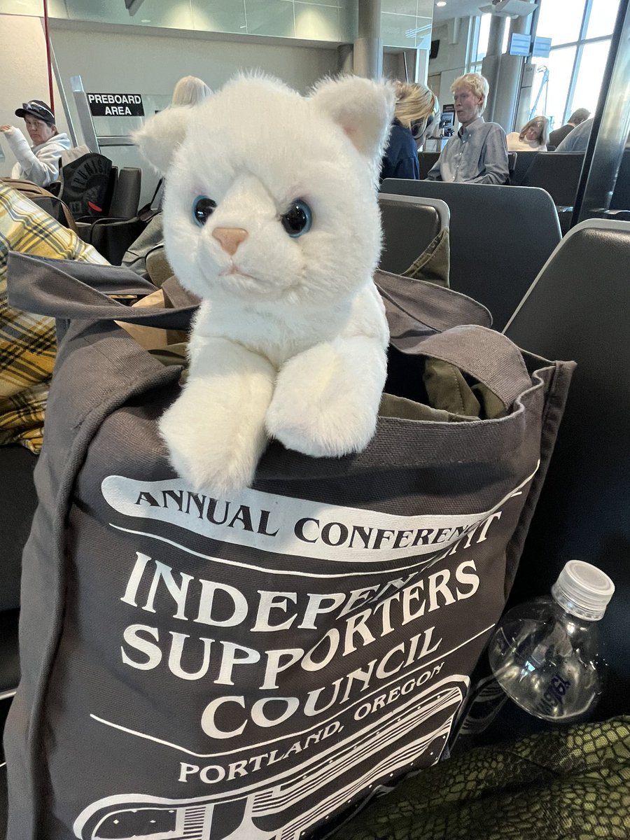 Crocketteers's tweet photo. El Gato heading to Albuquerque and ready for @ISCSupporters for #ISCABQ Conference. @crocketteers https://t.co/bbilwitrcZ