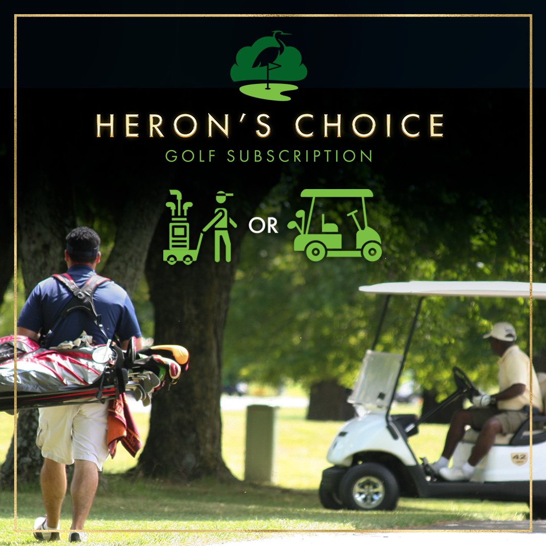 BrambletonGolf's tweet photo. New Year, New Choice. Looking forward to a year of golf? With the Heron's Choice Golf Subscription choose to walk the course or use a cart for no extra fee.

TInfo: https://t.co/i1u3OxqMWa

#newyearnewchoice #choosemore #playmoresavemorechoosemore #novaparksgolf https://t.co/TLsJ1AsOvk