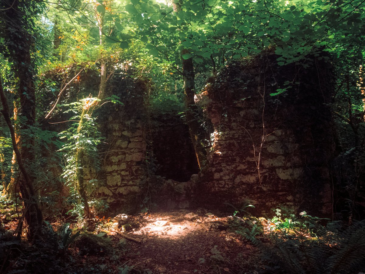 Sean Murphy tweet media