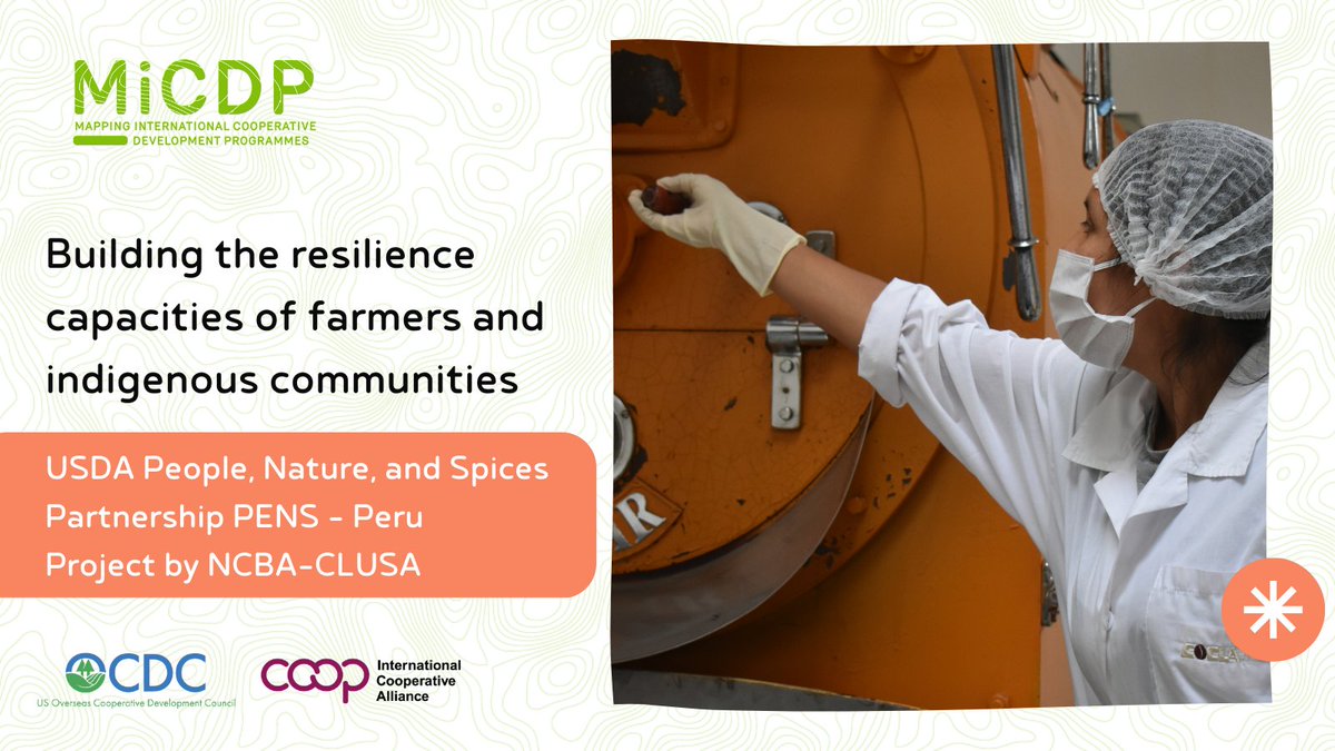 usocdc's tweet image. 📍Peru

@NCBACLUSA is building the resilience capacities of farmers through their USDA People, Nature and Spices Partnership project in Peru! Explore more on MiCDP: bit.ly/3whbuEI

#Governance #InstitutionalBuilding #PolicyDialogue #Training #ValueChains

@icacoop