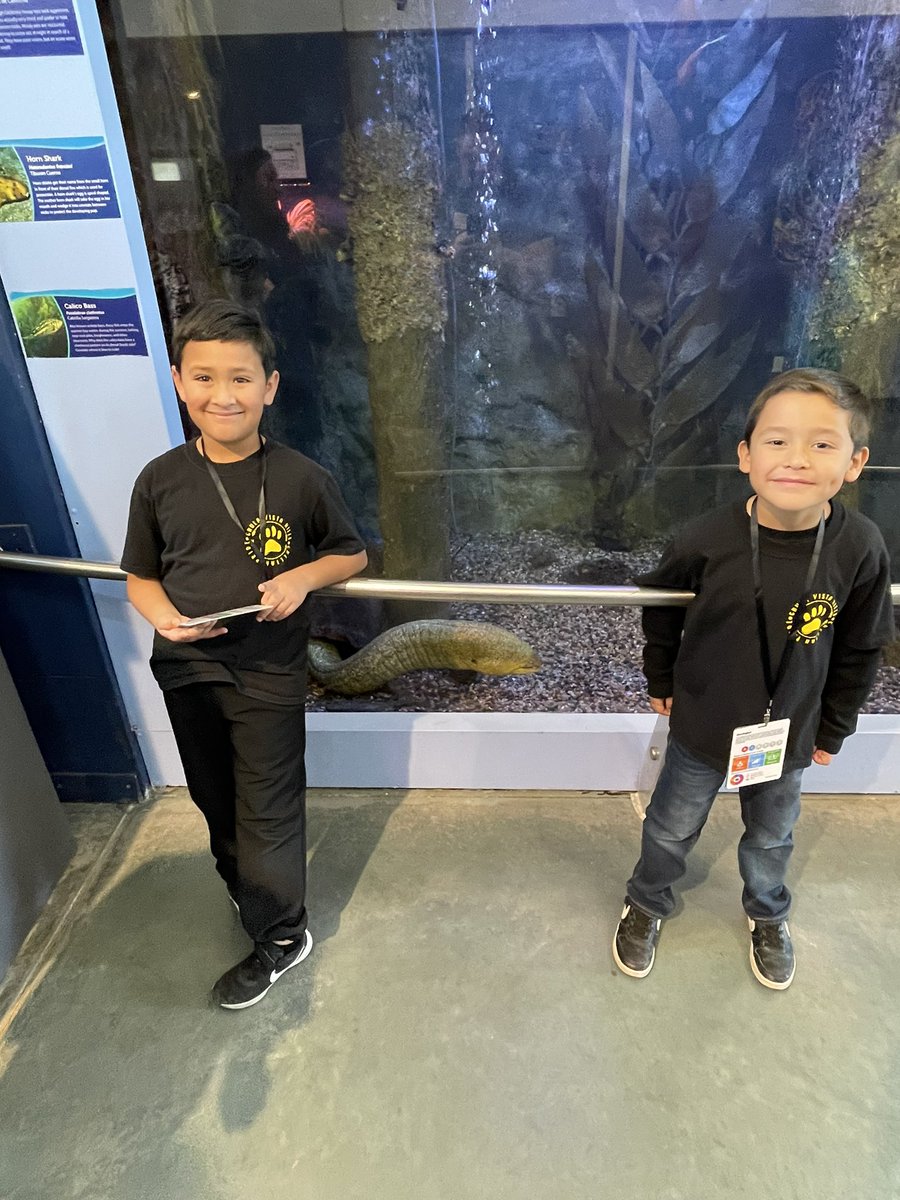 Guillermo Armas tweet media